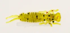 Akara Eatable Insect 35mm väri K002 8kpl