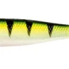 Bullet Fish 100mm väri 3, 10kpl