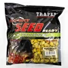 Expert Seed Maissi - Hajustamaton 500g