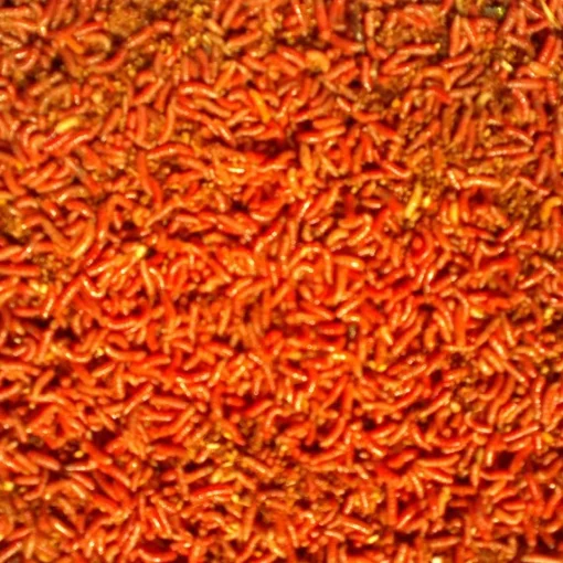 Pinkietoukka fluo oranssi 1 litra