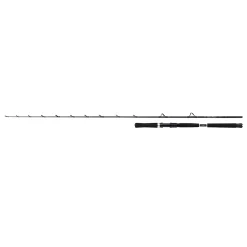 Shimano Beastmaster BX Boat Slim 7,6" 2,29m 30-50lb 2-os.