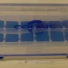 Vesitiivis vieherasia large